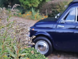 Fiat 500 GIARDINIERA (1976), foto 25